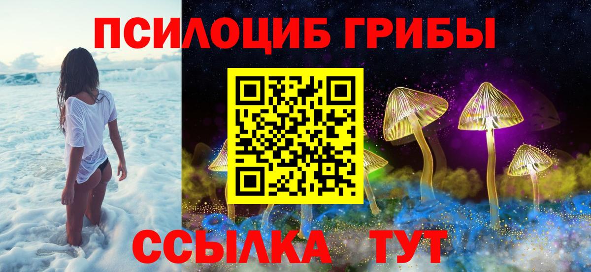 Галлюциногенные грибы Cubensis  Псилоцибиновые грибы GOLDEN TEACHER  Вход с VPN  Ковров 
