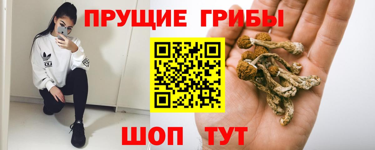 Псилоцибиновые грибы Magic Shrooms Ковров